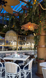 Fotografías de Lion Fish en Tijuana, restaurante de mariscos especializado en cocina de Baja California y sabores sinaloenses. Descubre sus tostadas, tacos, mariscos frescos, platillos de la casa y su terraza en Tijuana, Baja California. Un lugar ideal para disfrutar de mariscos, comida mexicana y bebidas en un ambiente agradable.