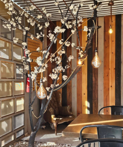 Norte Burgers en Tijuana, restaurante especializado en hamburguesas y comida casual, ideal para disfrutar de una comida con amigos o familia.